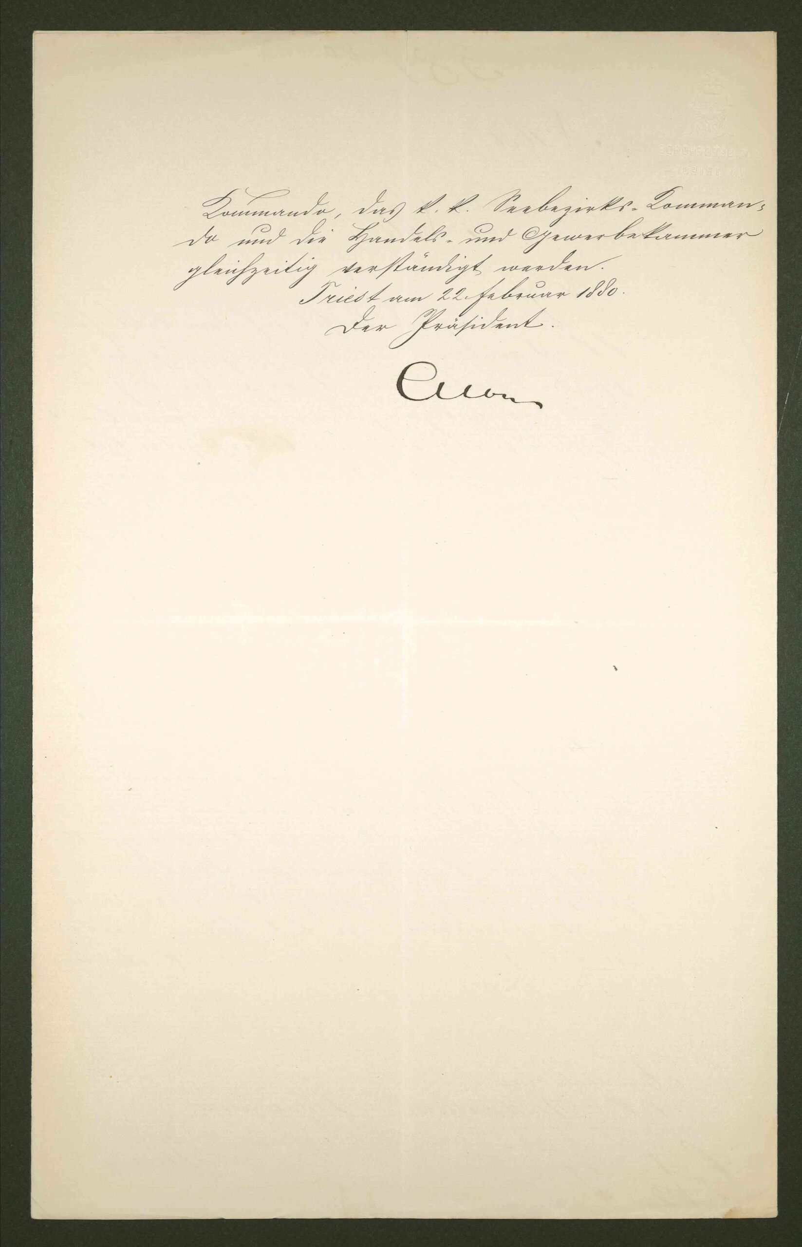 Archivio di Stato di Trieste, Luogotenenza del Litorale, Atti presidiali, busta 116, f. 1.12.7, prot. 381/1880